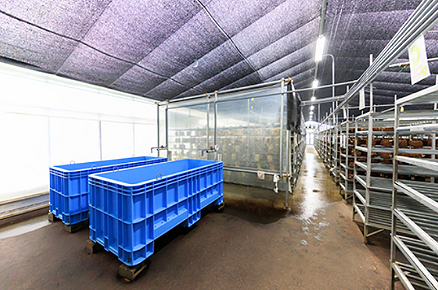 オーガニックハンドクリームK風景