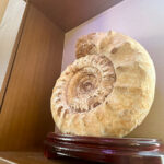 だんらん応接室