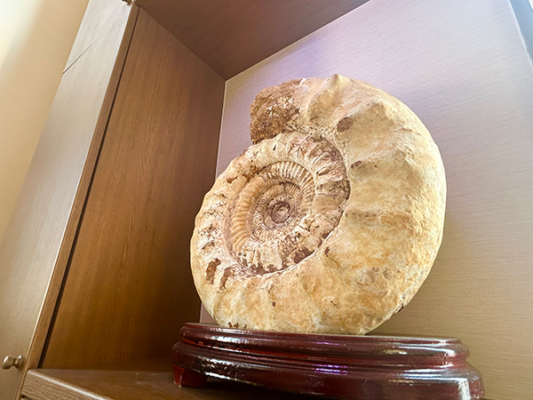 画像：だんらん応接室