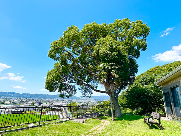 画像：なぎのやど中庭1