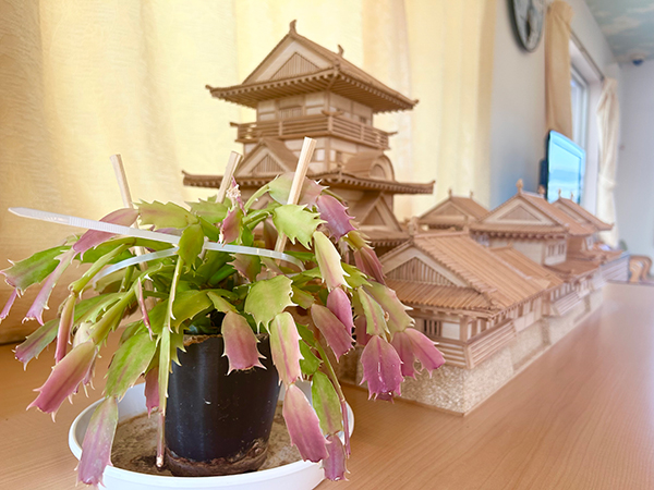 画像：ふどきぃひるず3