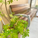 ふどきぃひるず入口