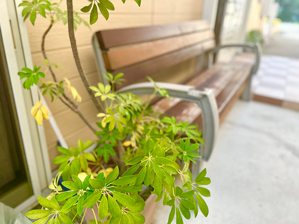 画像：ふどきぃひるず入口