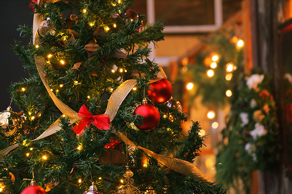 画像:クリスマス2