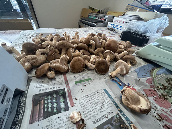 画像：基麟会11