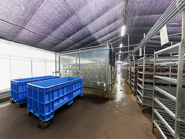 画像：基麟会12